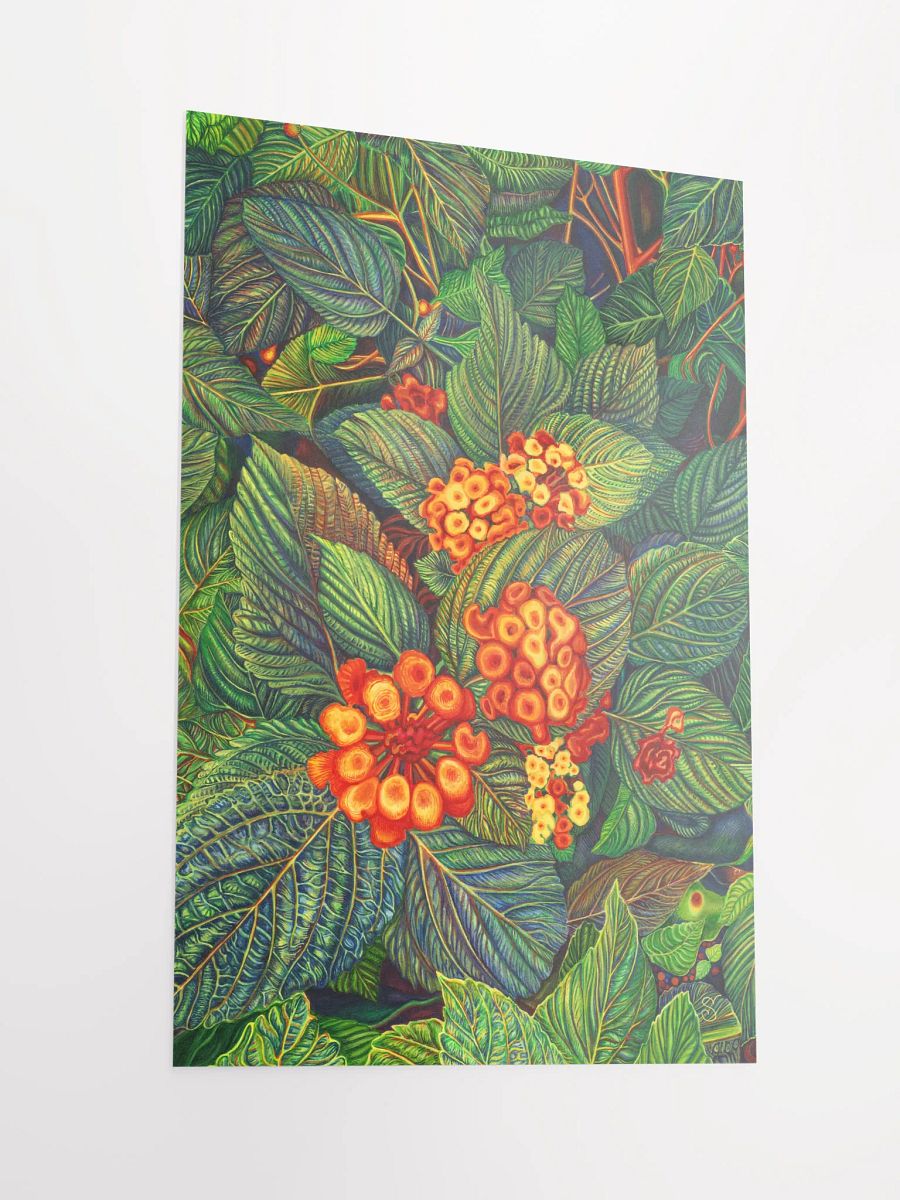 Vibrant Matte Poster Print - Bright Orange Flowers product image (2)