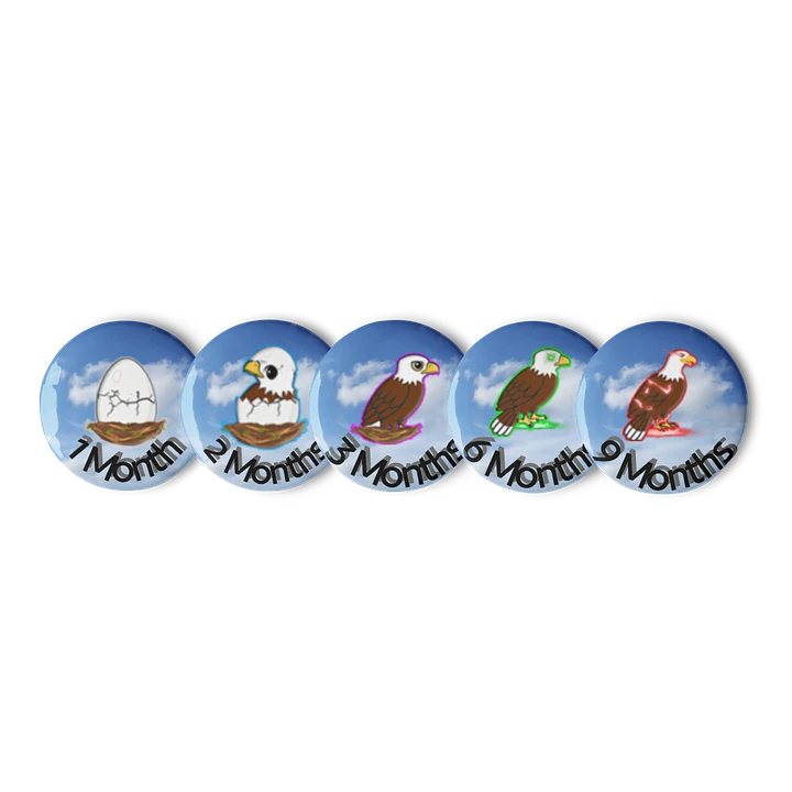 Subscriber Badge Pins (1-9 Months) product image (1)