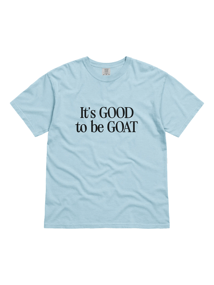Garage Goats product image (1)