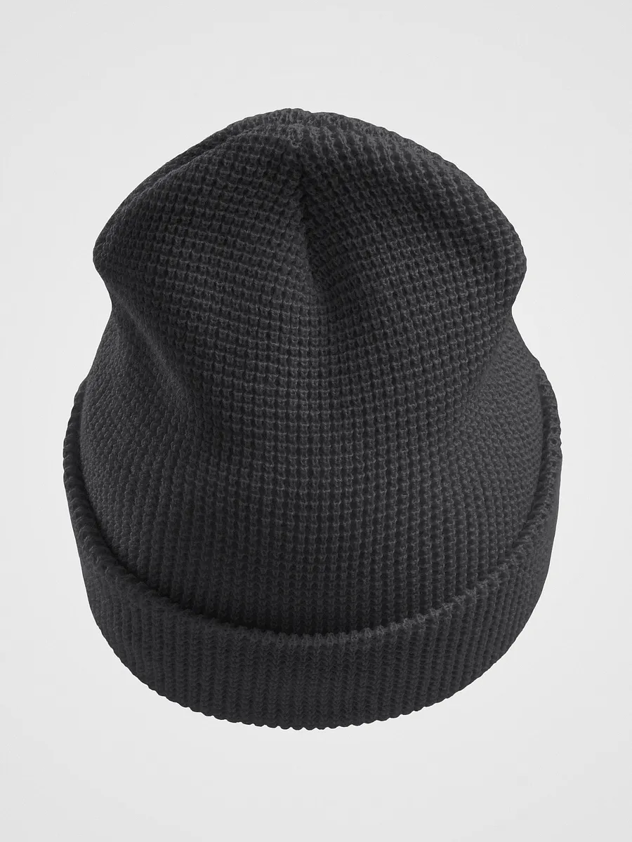 Baggadicks Beanie product image (28)