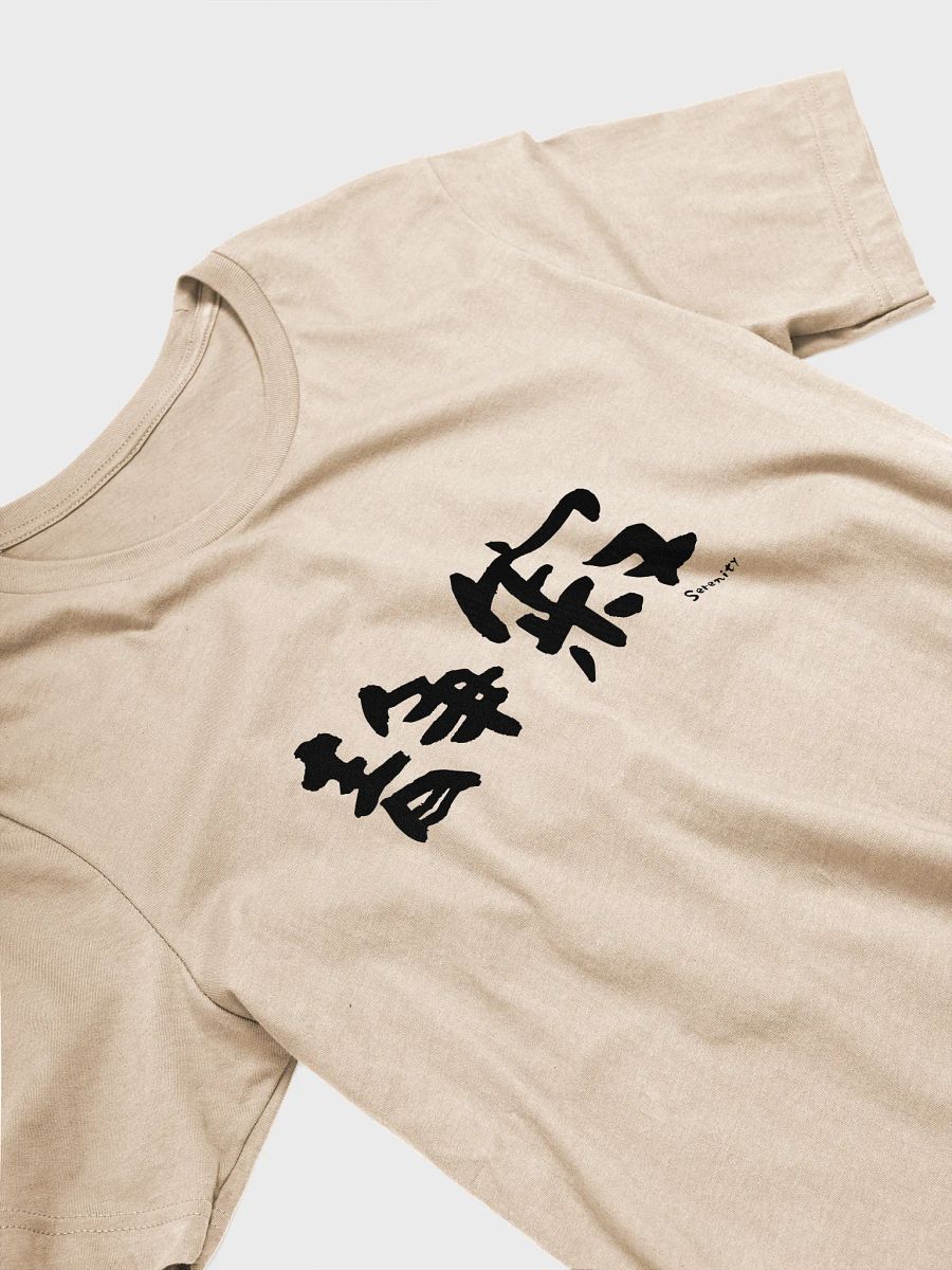 Seijaku 静寂 Shirt – Japanese "Serenity" Tee for Calm Vibes product image (29)