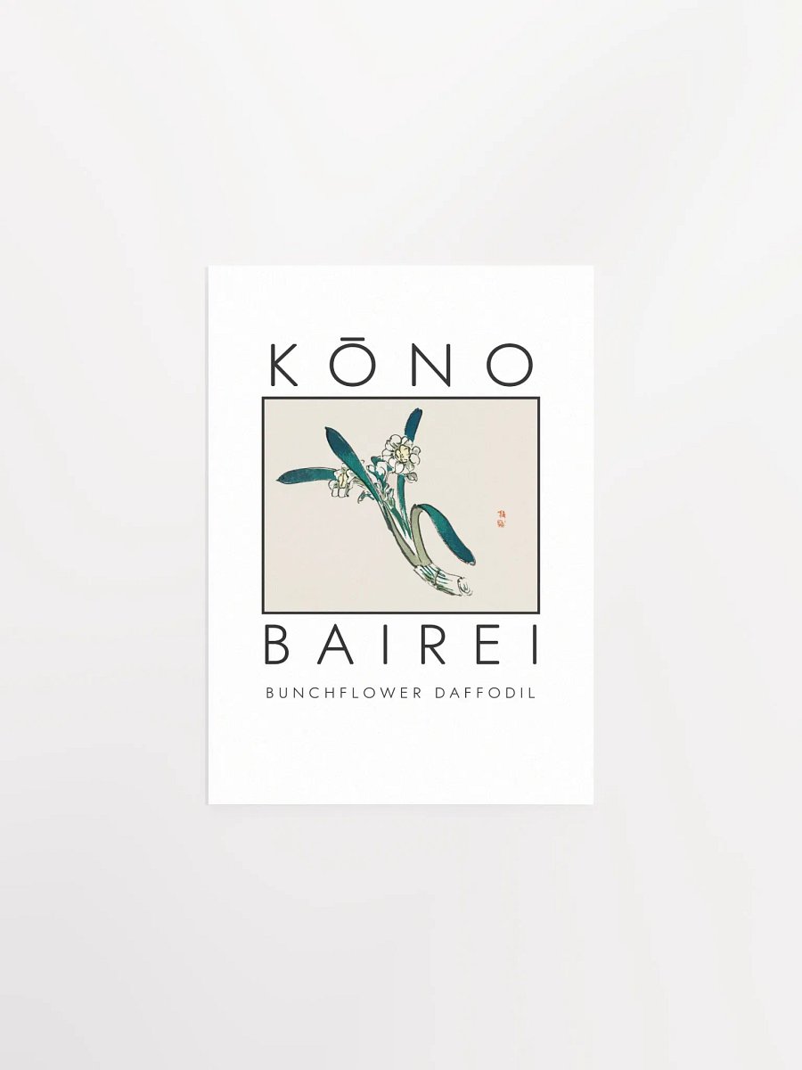 Kono Bairei Bunchflower Daffodil Poster product image (2)