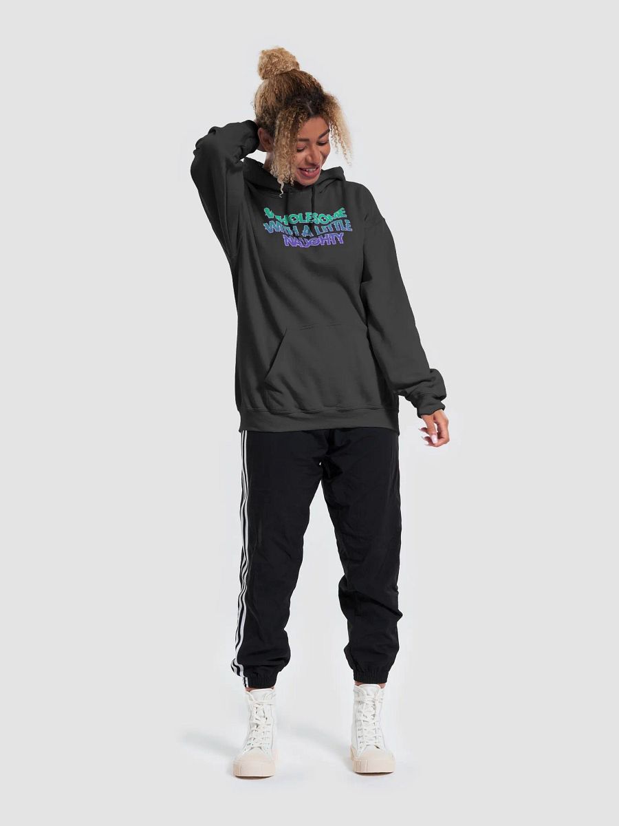 Wholesome and Naughty Hoodie product image (6)