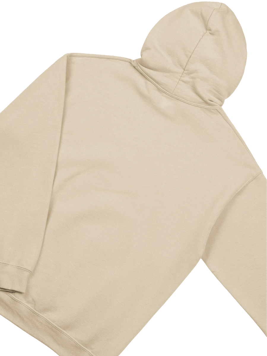I Don't Argue Hoodie product image (4)