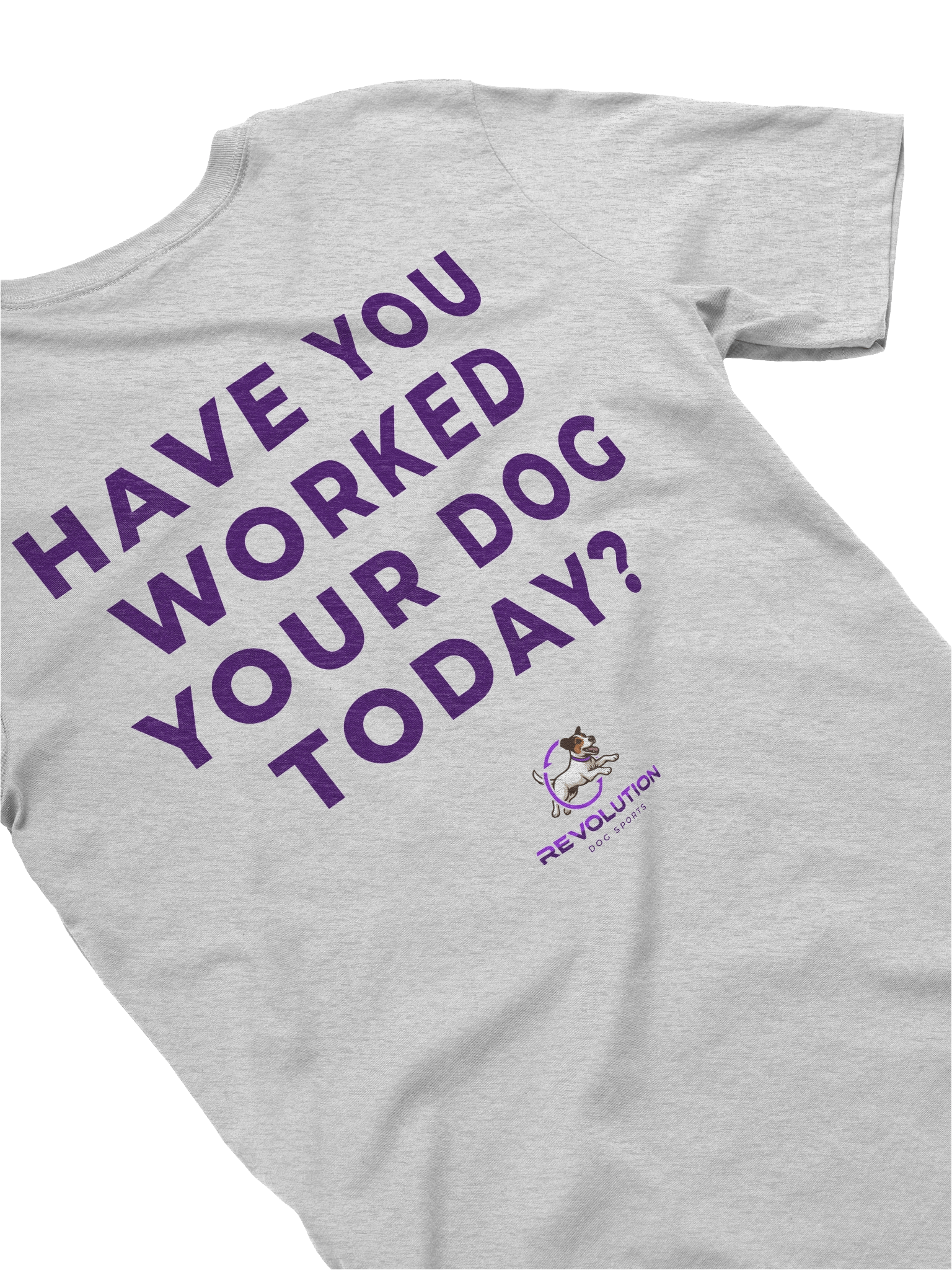 Have You Worked Your Dog Today? T-Shirt product image (4)