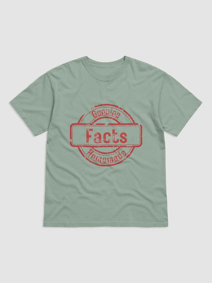 ETHANBOMB - FACTS T-SHIRT product image (6)