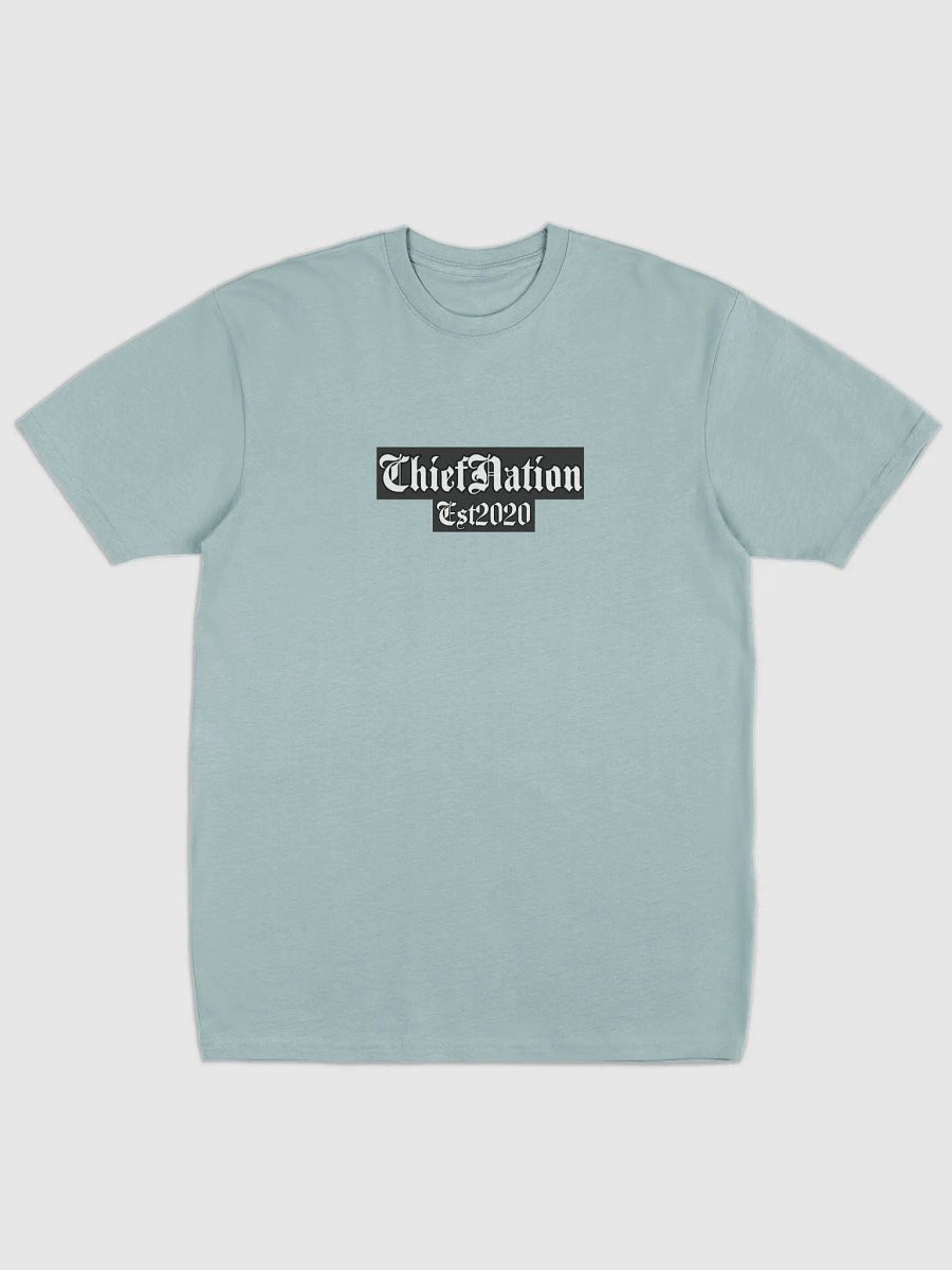 Native Identity Statement Tee ChiefNation Est2020 product image (5)