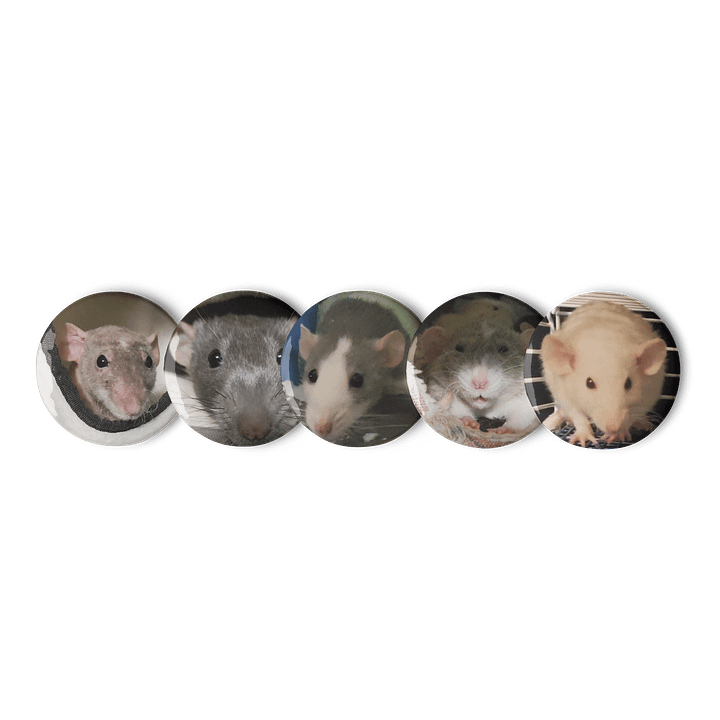 Rat Pictures 2 || Set of Pin Buttons product image (1)