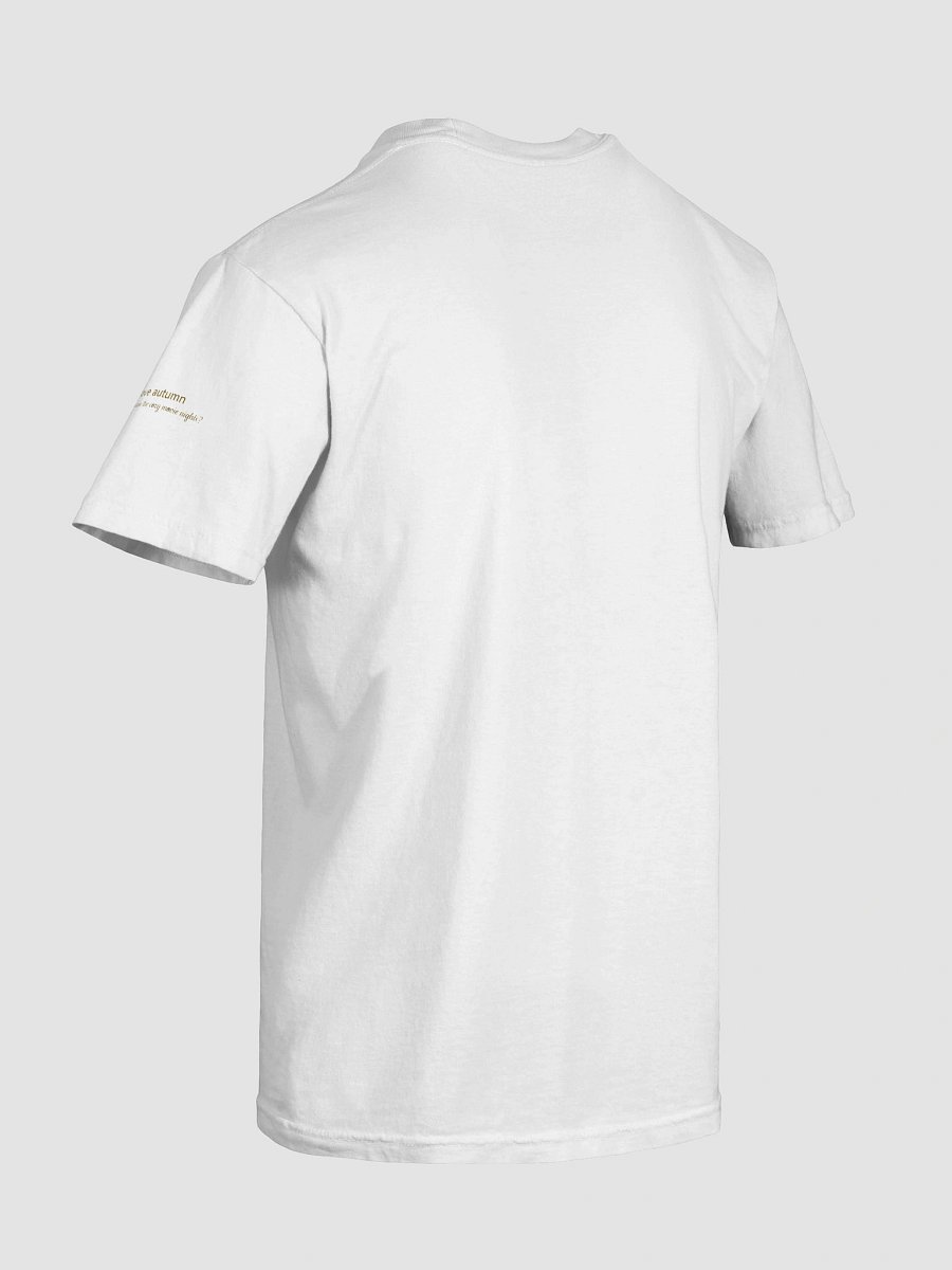 Cozy Autumn Nights T-Shirt product image (8)