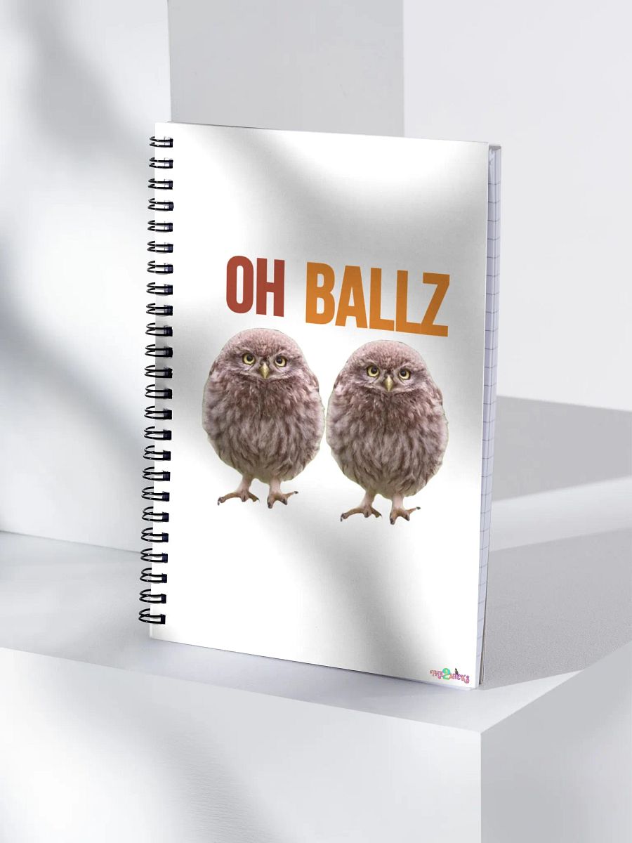 Oh Ballz Notebook product image (3)
