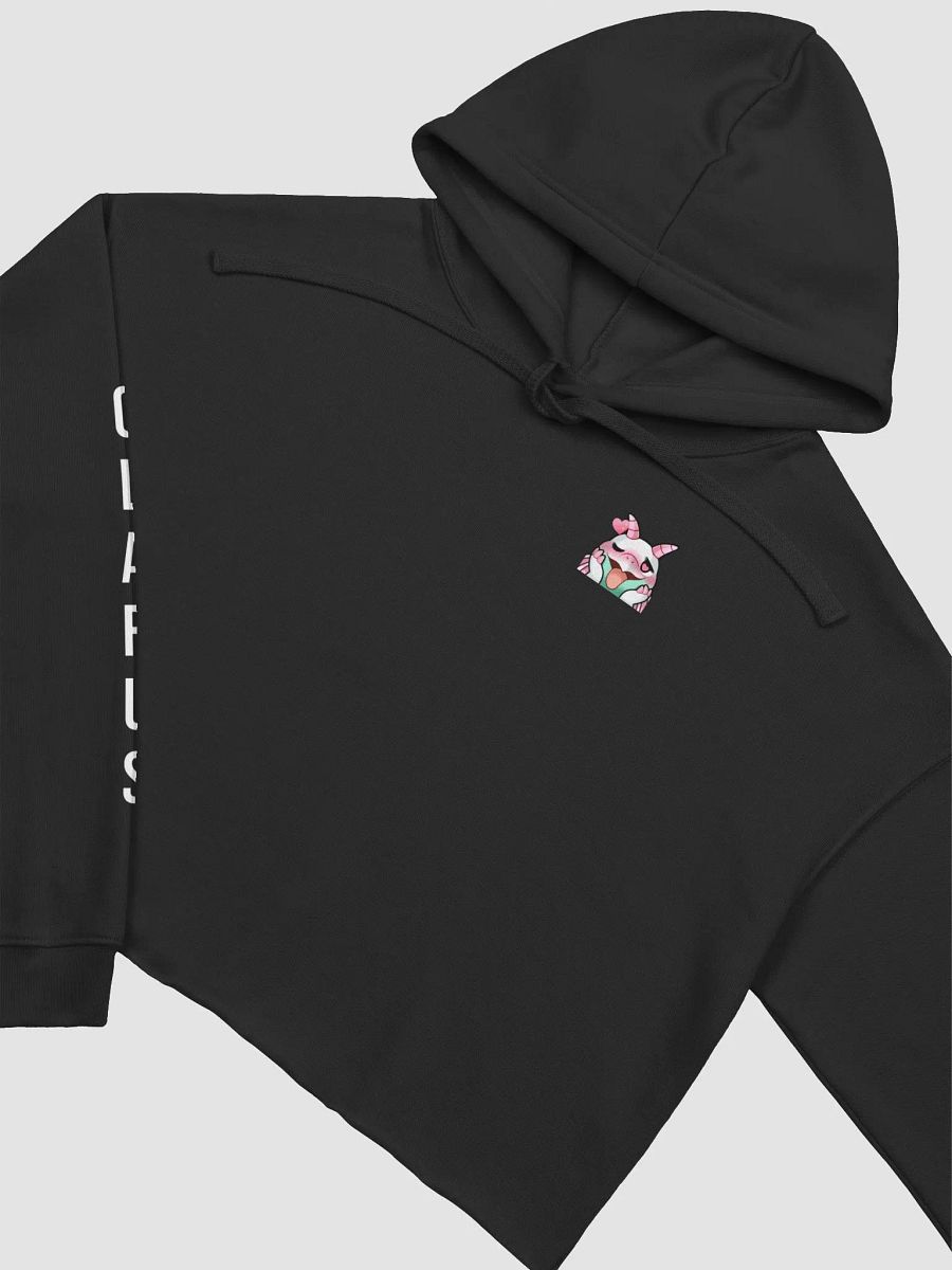 Polaris Crop Hoodie product image (3)