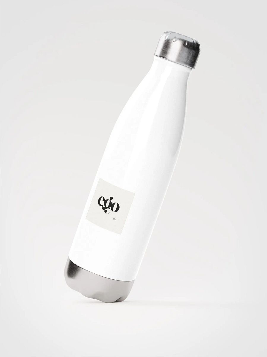 stainless steel water bottle product image (2)