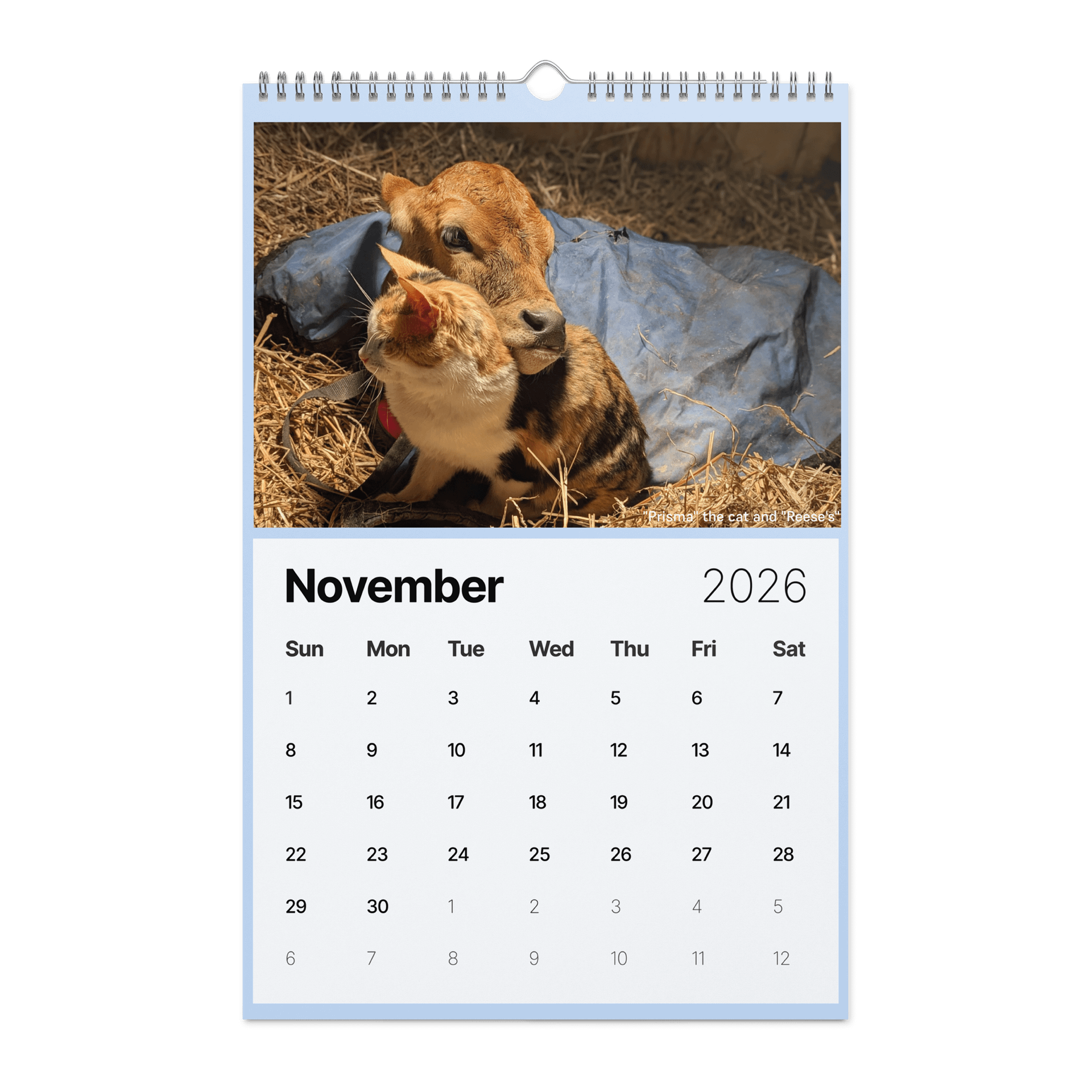 Muddy Toes Farm 2026 Country Life Calendar product image (11)