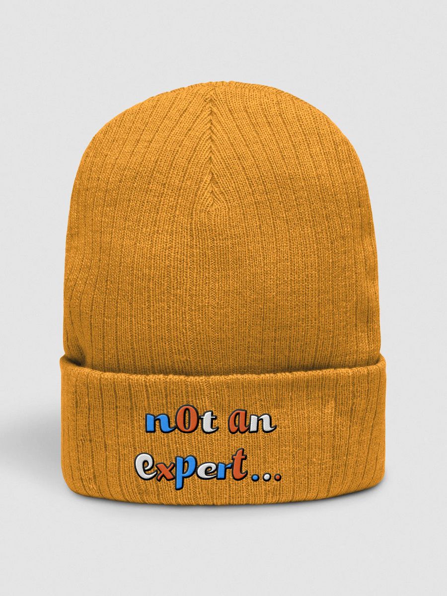 "not an expert..." Colour Beanie product image (1)