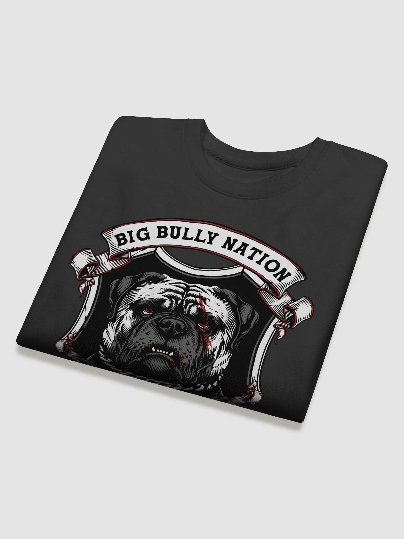 BBN Alter Ego Premium Sweatshirt product image (34)
