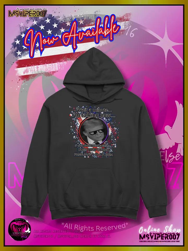 Hoodie - MsViper007's "Does That Sound Familiar?" - 2024 U.S. Elections Hoodies By Anna H. product image (1)