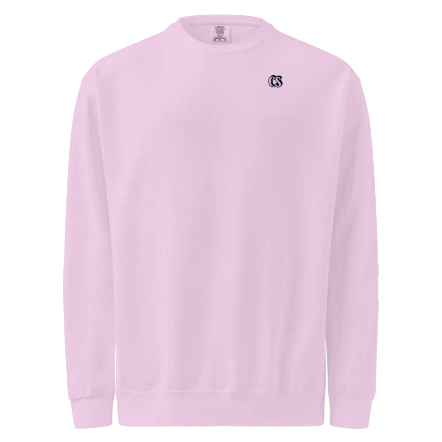 CS SweatShirt product image (29)