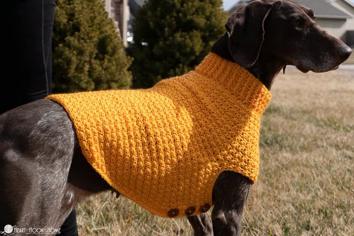 Easy Large Dog Sweater Crochet Pattern product image (2)