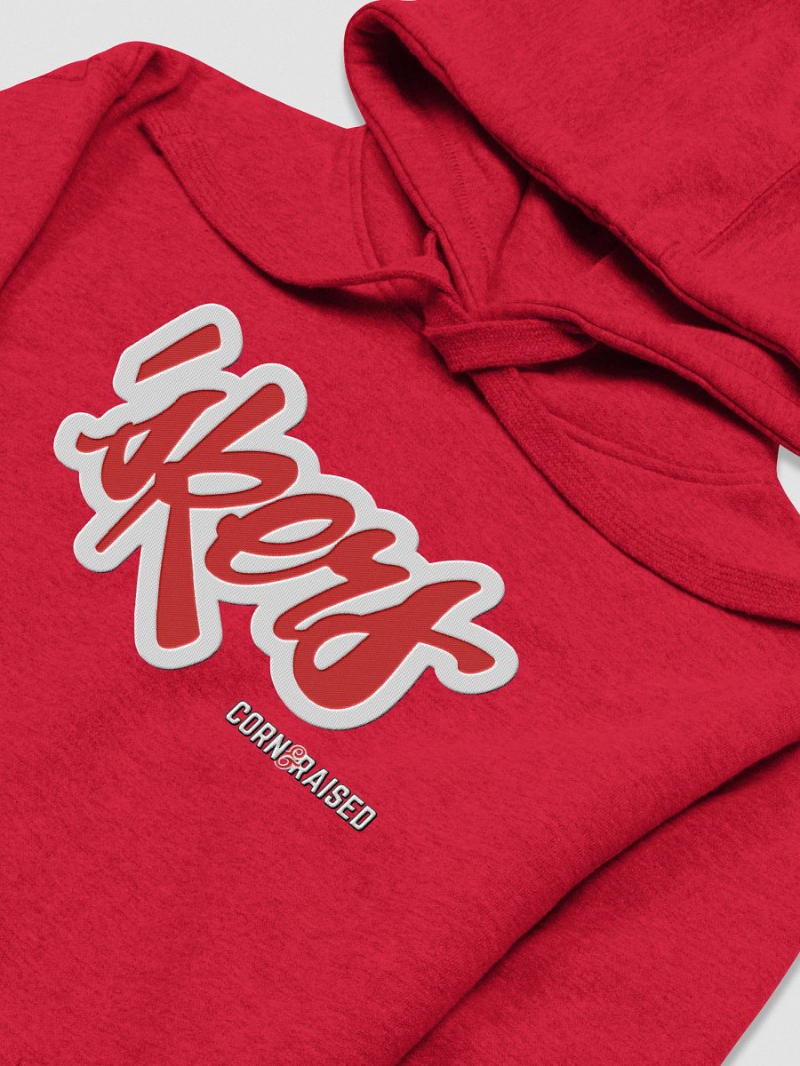 skers Premium Embroidered Hoodie product image (3)