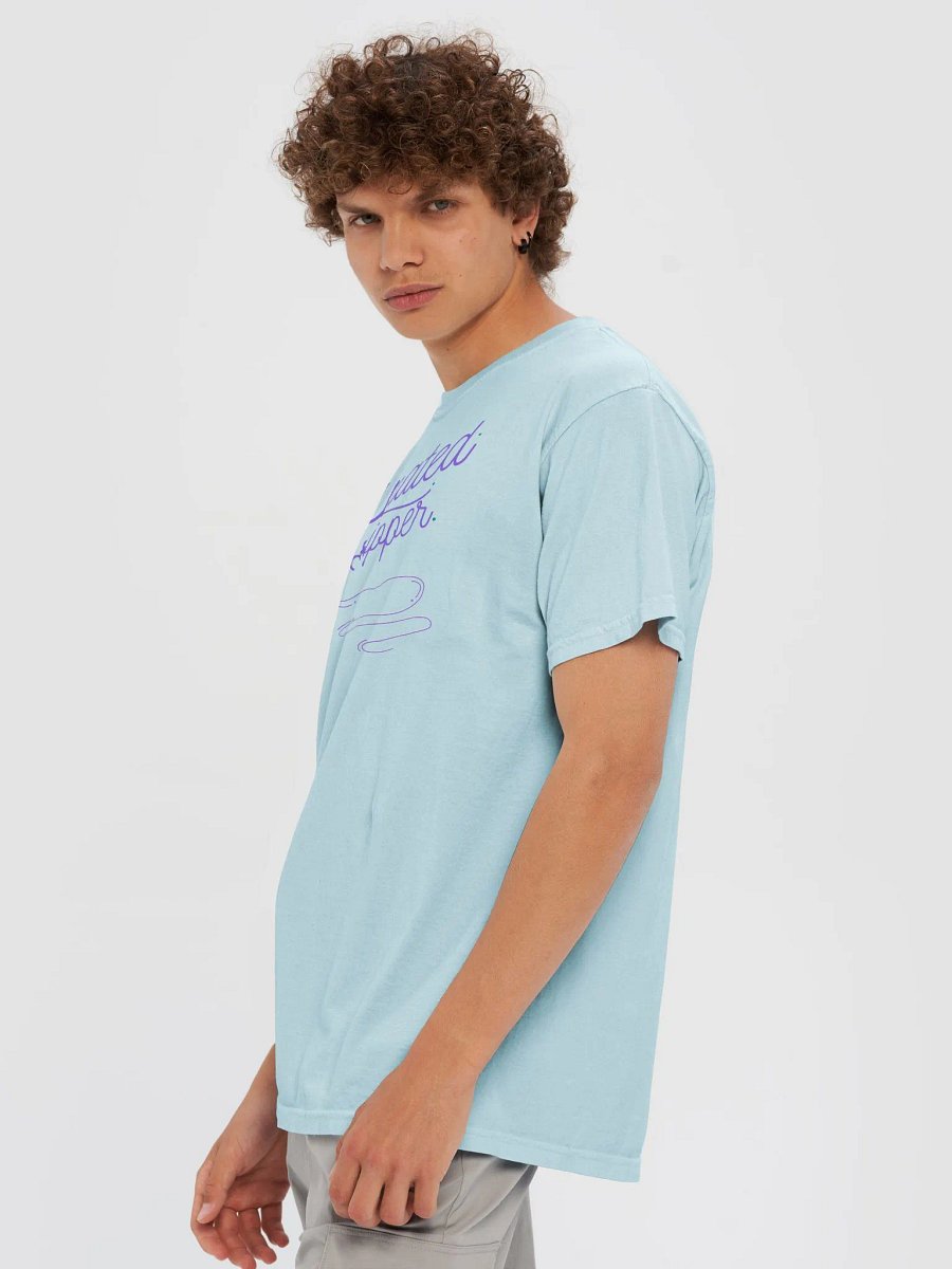 Designated Worshipper Graphic Tee product image (6)