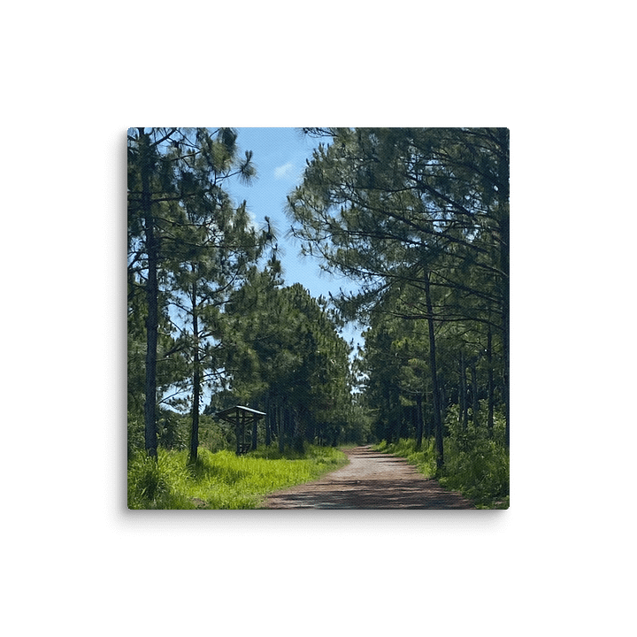 Wanderlust Canvas Collection product image (2)