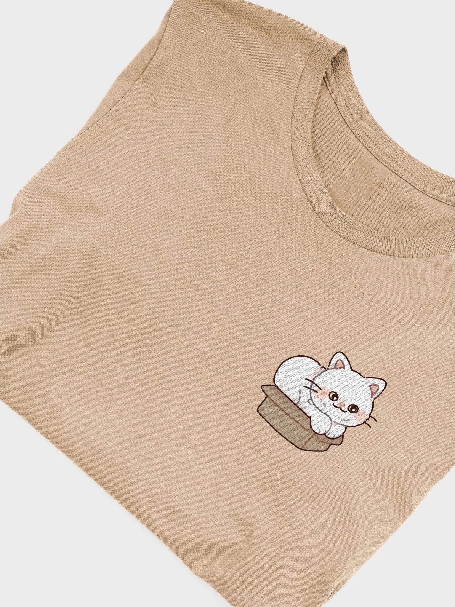 catJAM in a Box T-Shirt product image (3)