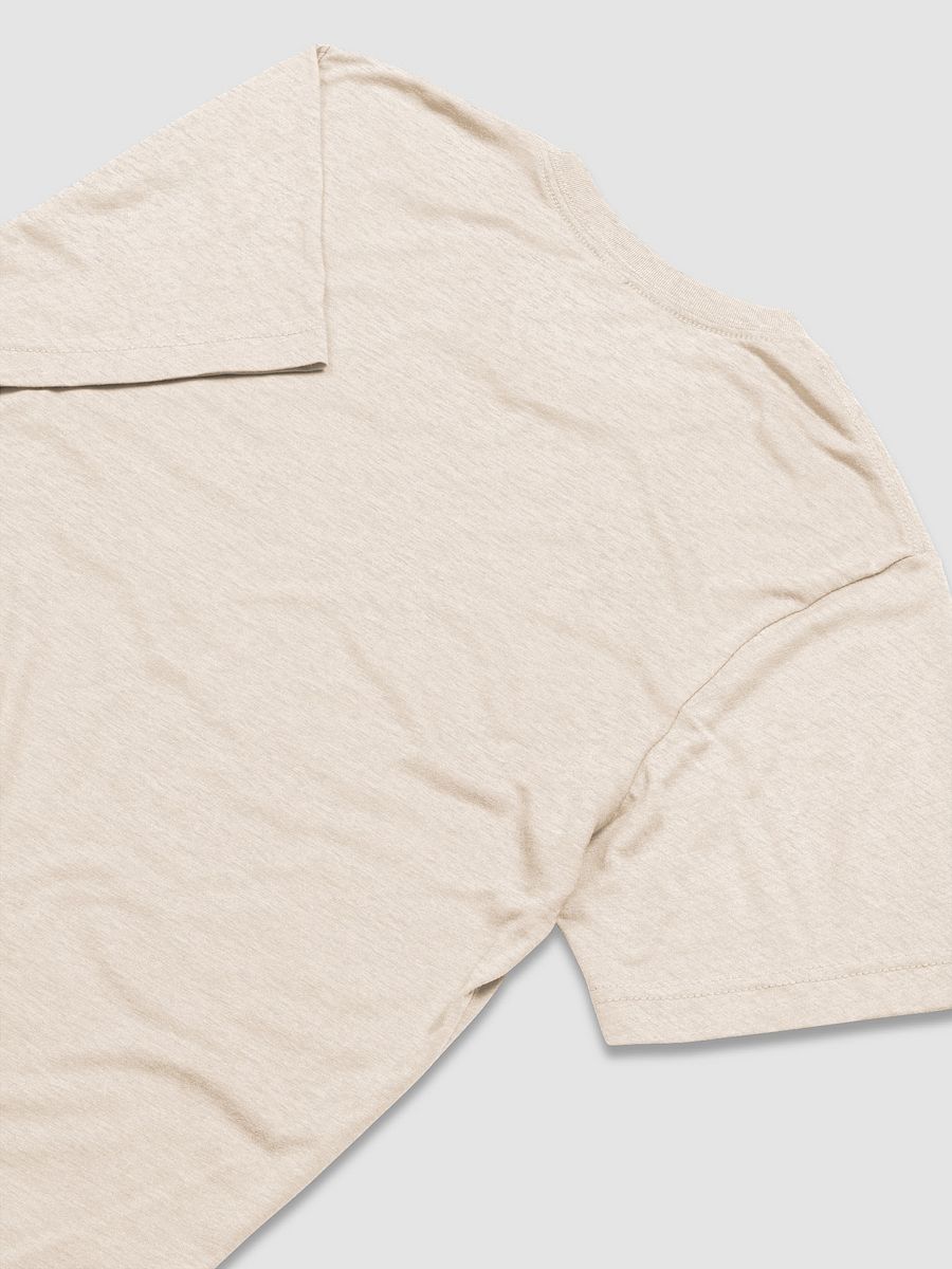 Y'all Need Epicurus LIGHT (Bella+Canvas Triblend Short Sleeve T-Shirt) product image (42)