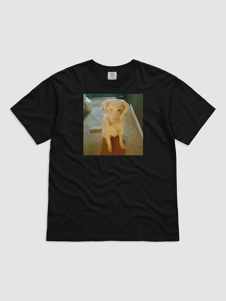 Ghost Dogg Album T-Shirt product image (1)