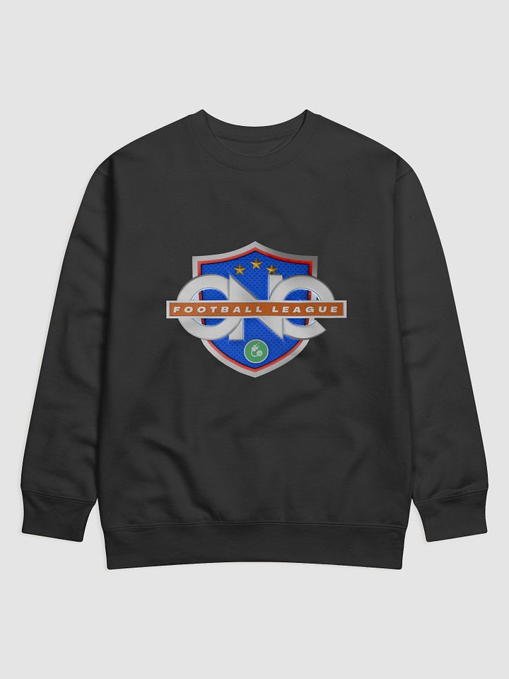 OneFL Pullover — Train. Lead. Inspire. product image (1)