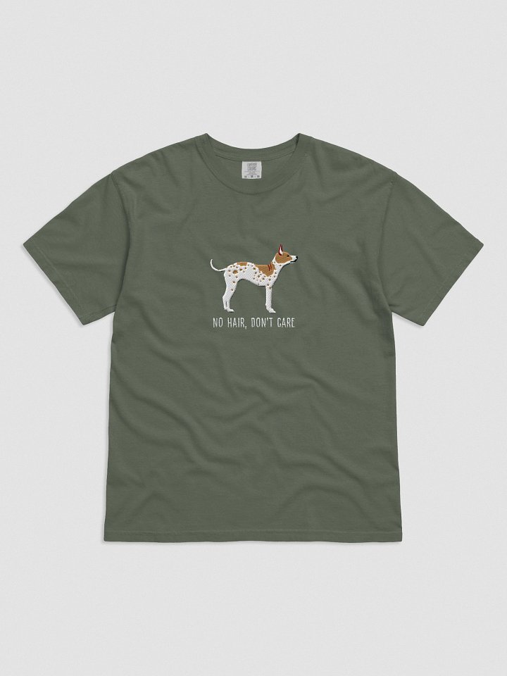 No Hair, Don't Care T-Shirt(Embroidered) of an American Hairless Terrier(Brown & White) product image (41)