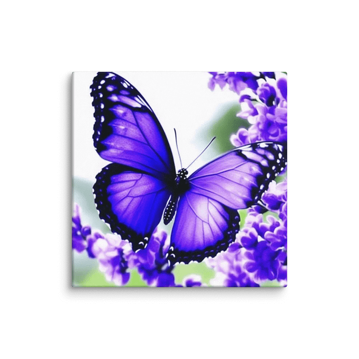 Butterfly Purple Canvas product image (12)