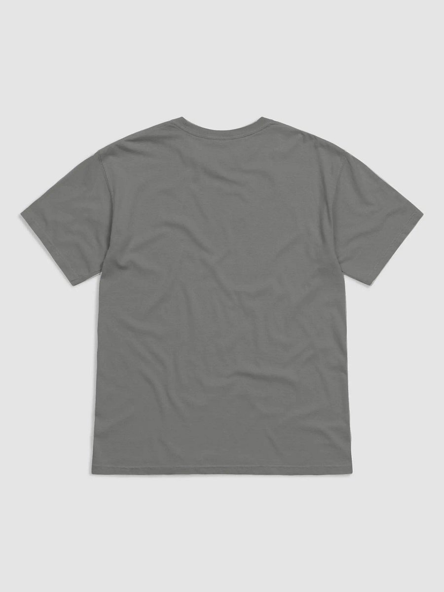 STOP KayDiddyy Please T-shirt product image (10)