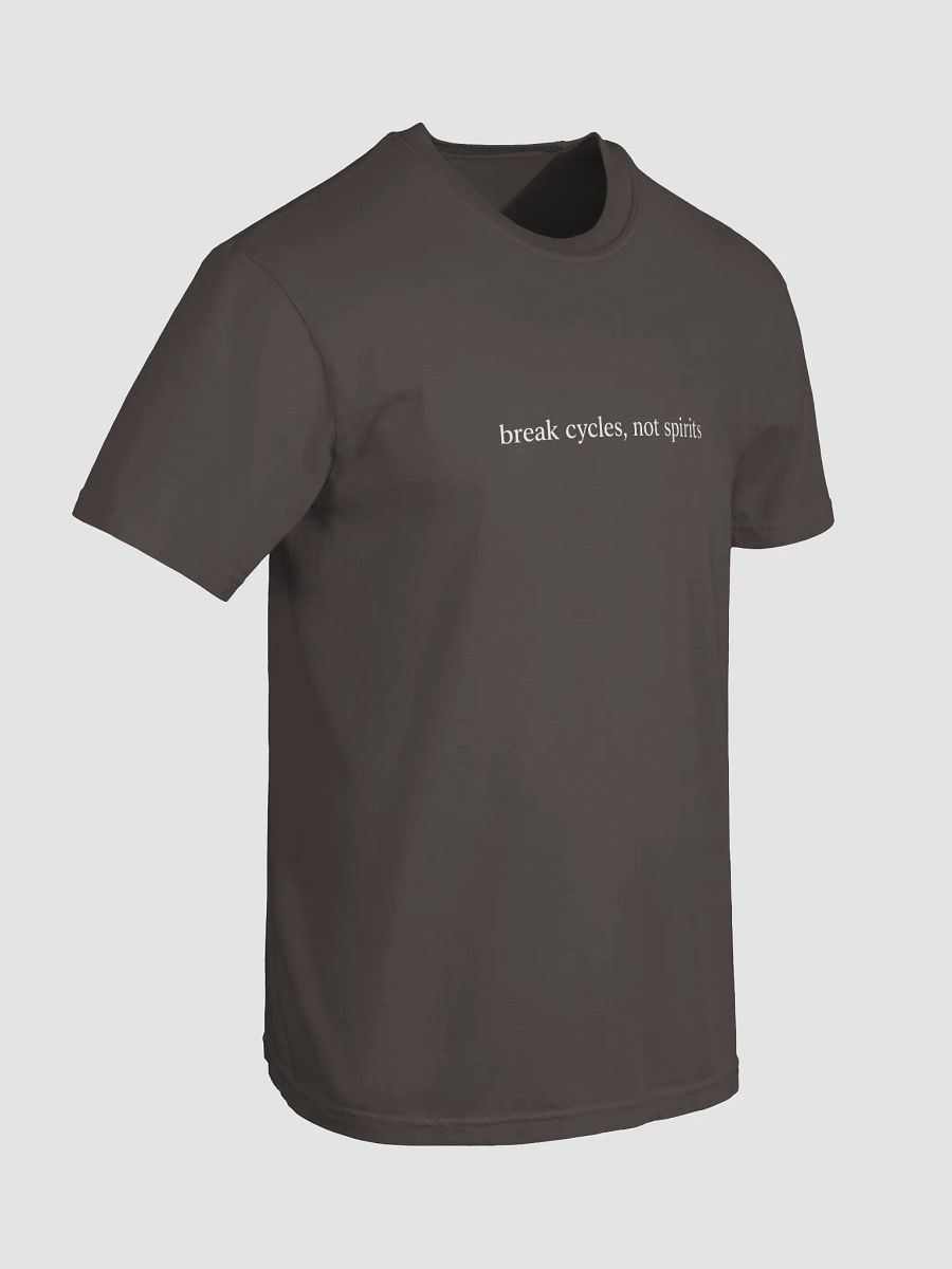 Break Cycles Not Spirits Tee product image (3)