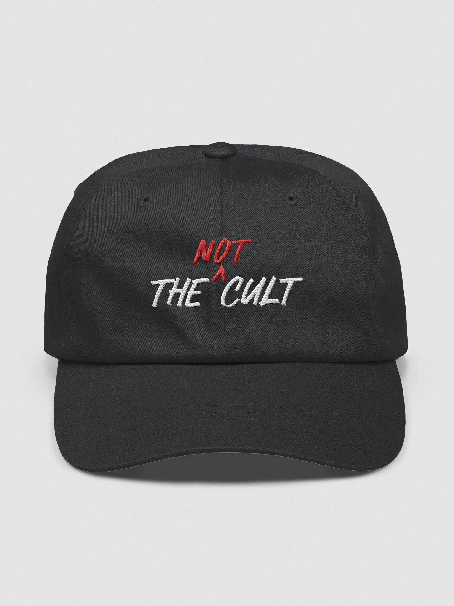 Not-Cult Embroidered Dad Hat product image (2)