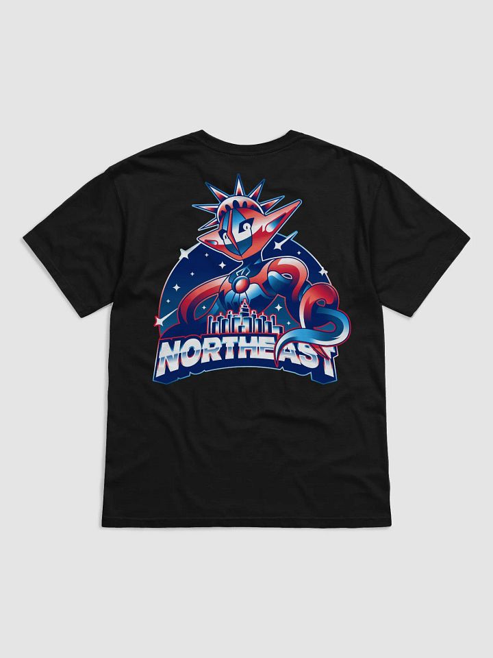 Team US Northeast T-Shirt product image (1)