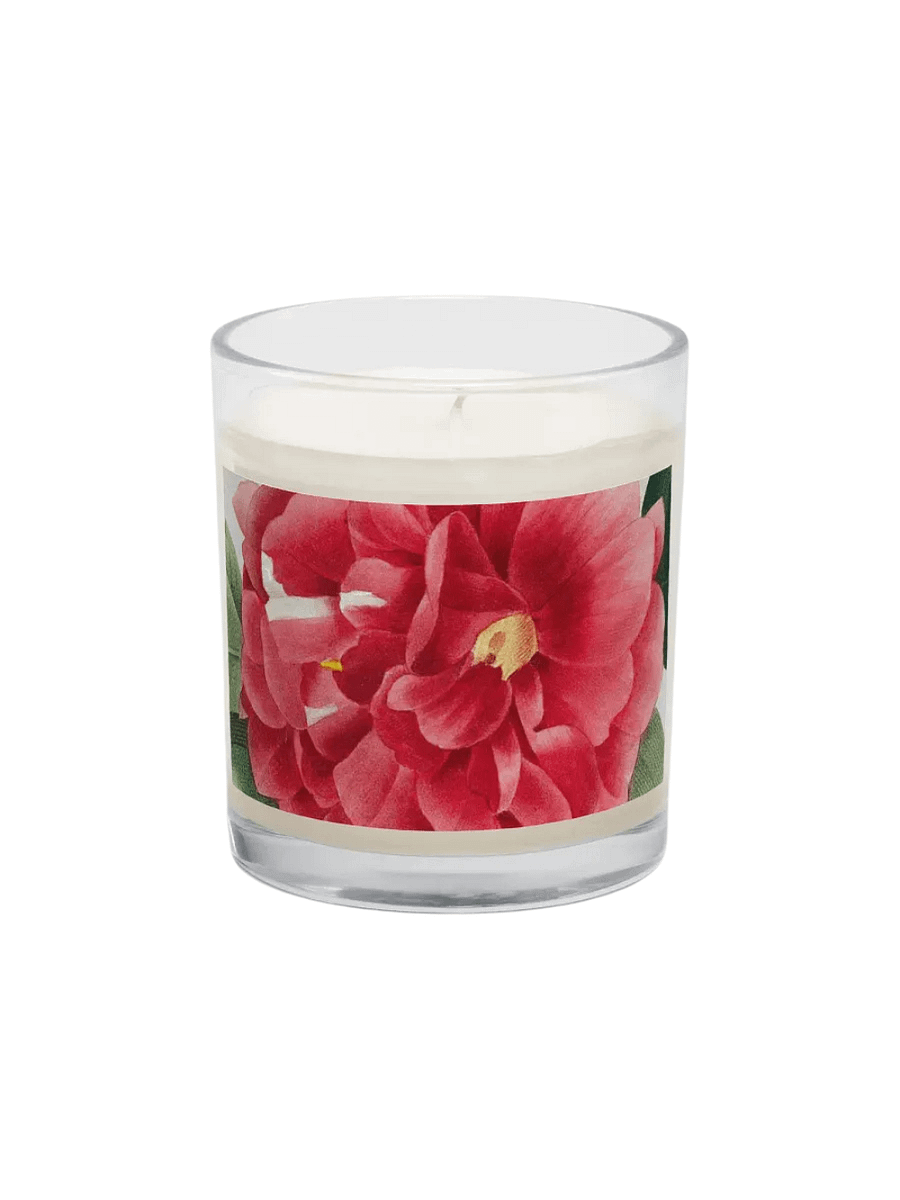 beaux fruits. Soy Wax Candle product image (2)
