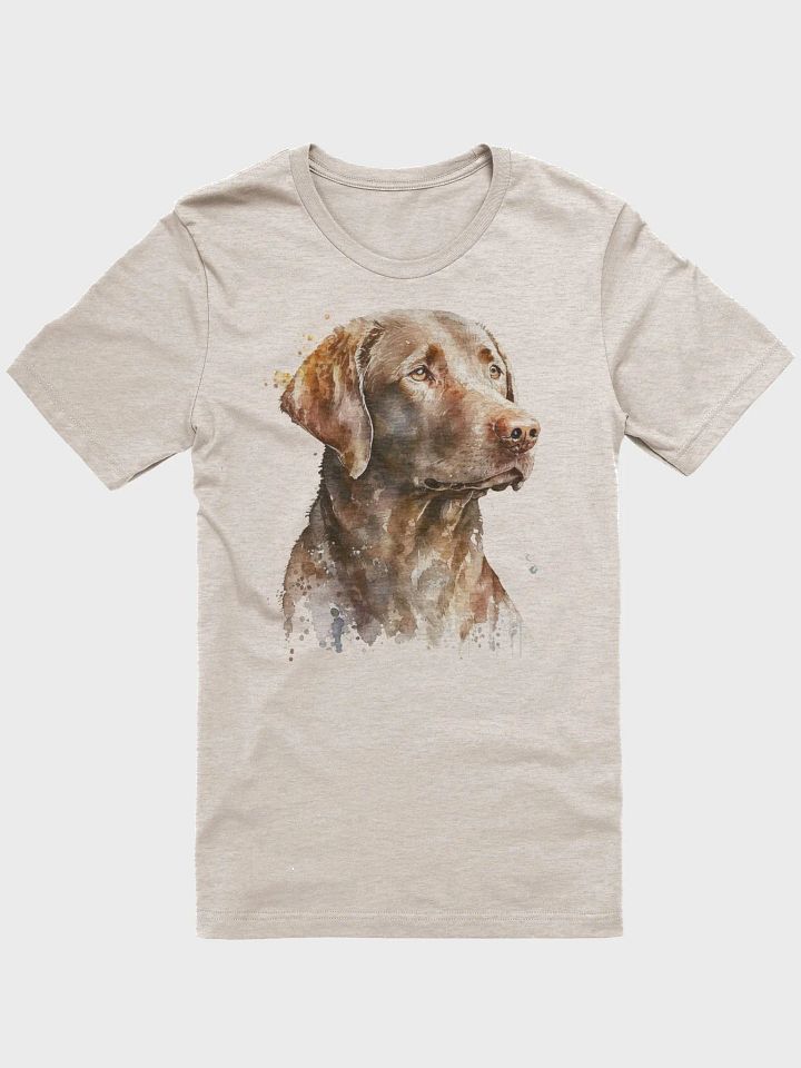 Chesapeake Bay Retriever product image (1)