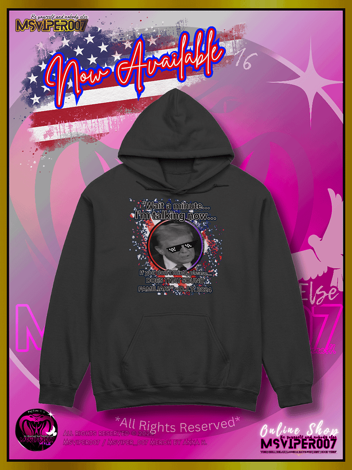 Hoodie - MsViper007's "Does That Sound Familiar?" - 2024 U.S. Elections Hoodies By Anna H. product image (1)