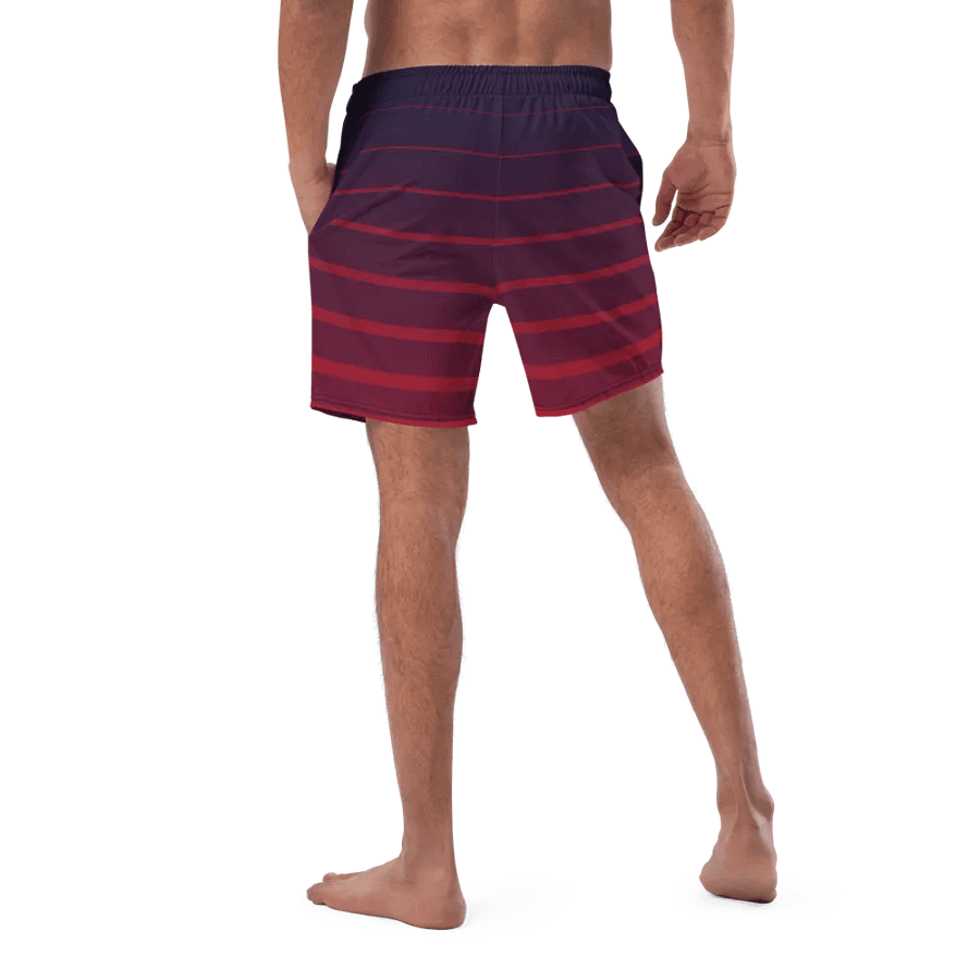 Toke Swim Trunks product image (5)