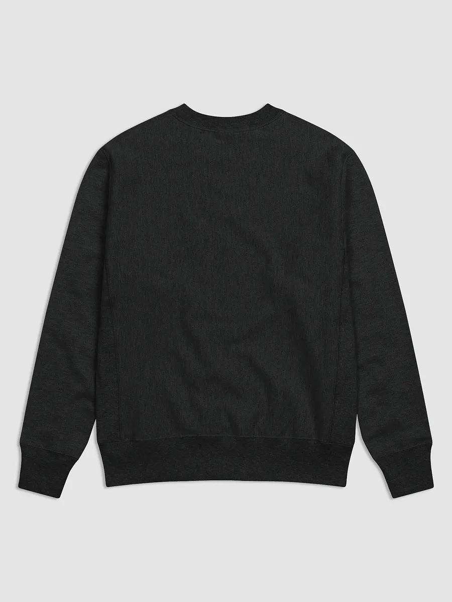 Champion best sale crewneck blank