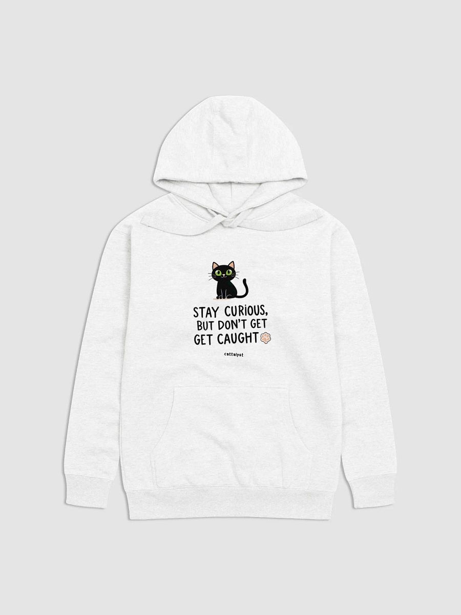 Curious Cat Premium Hoodie product image (1)