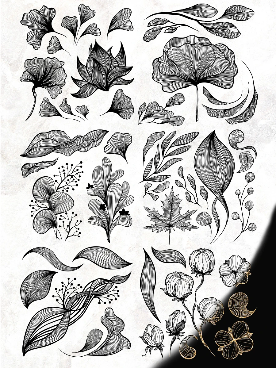 Line Art Modern Clipart Collection. Gold & Black Waves. Lines, Flowers product image (2)