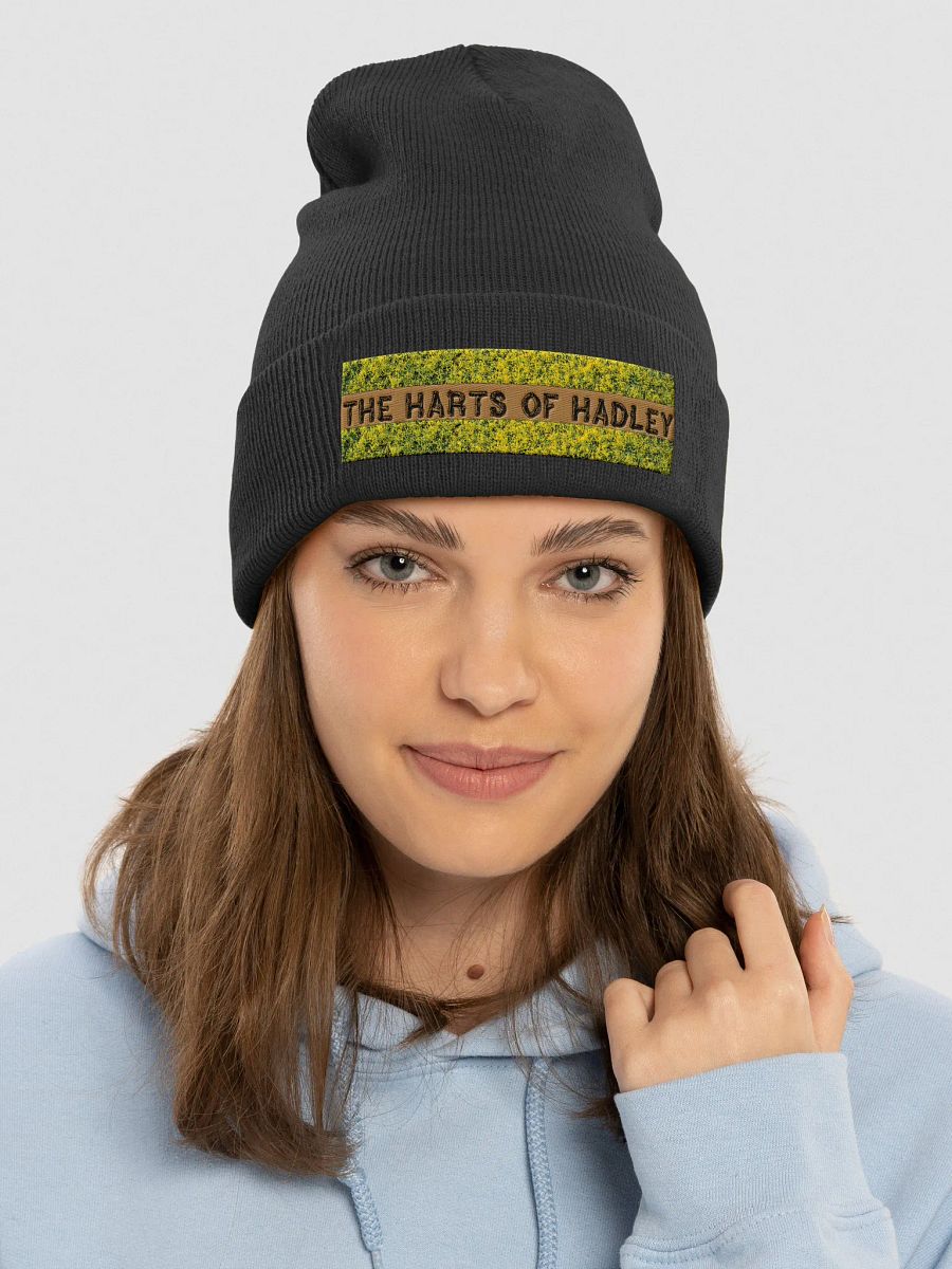 Harts Of Hadley Embroidered Cuffed Beanie product image (3)