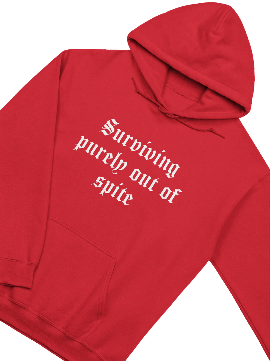 Surviving hoodie product image (4)