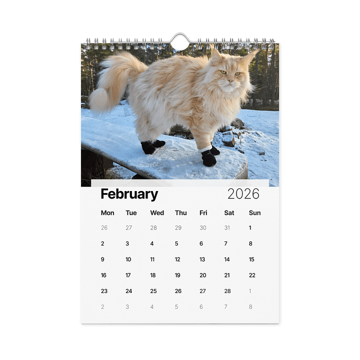 2026 Calendar - Maine Coon Adventures + Kittens product image (1)