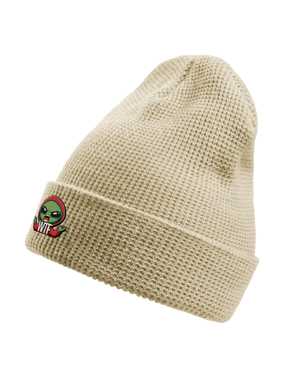 Splint beenie product image (30)