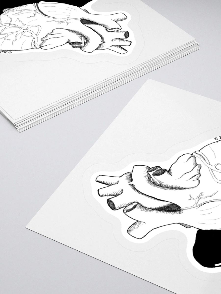 Anatomical Heart product image (11)