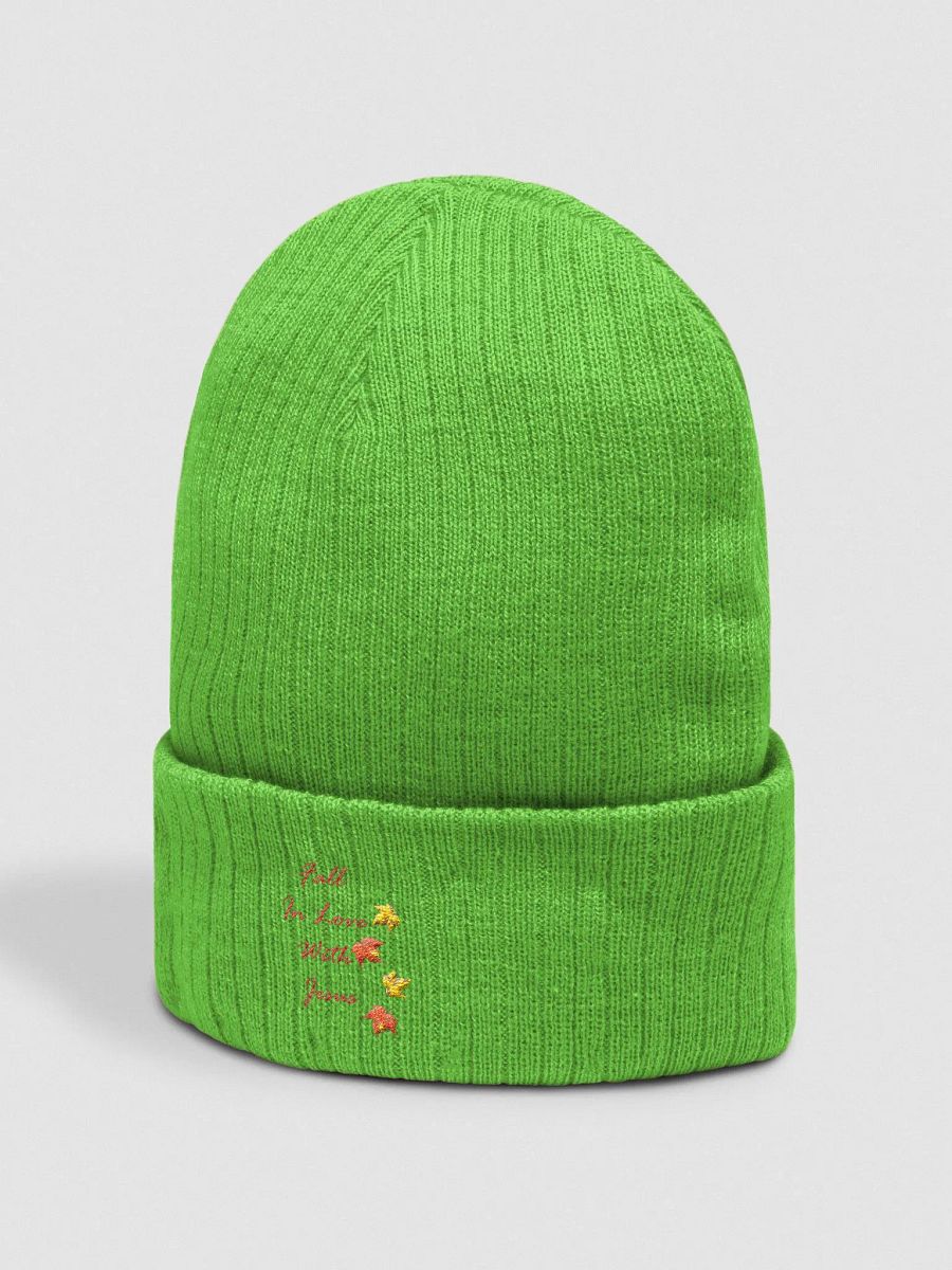 Fall product image (8)