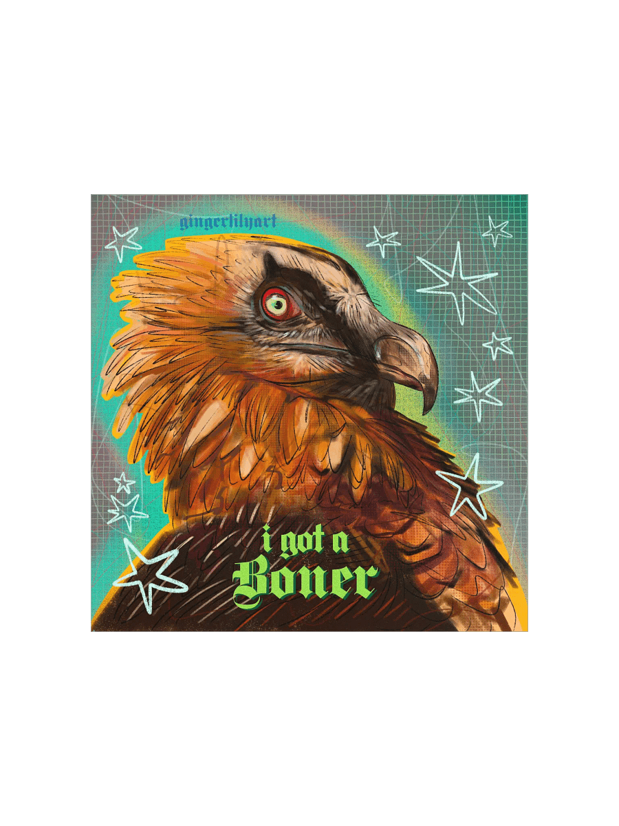 bearded vulture print product image (2)