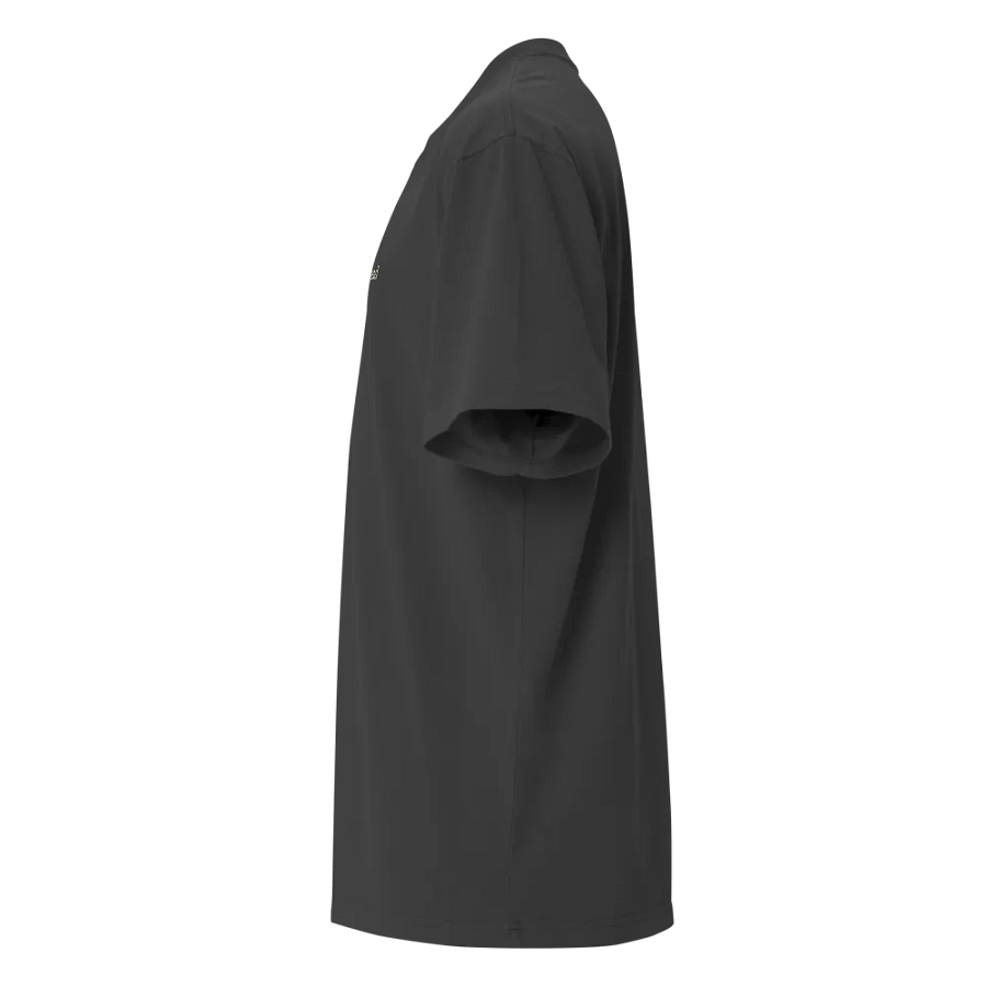 full fear ahead \ premium oversized t-shirt product image (5)